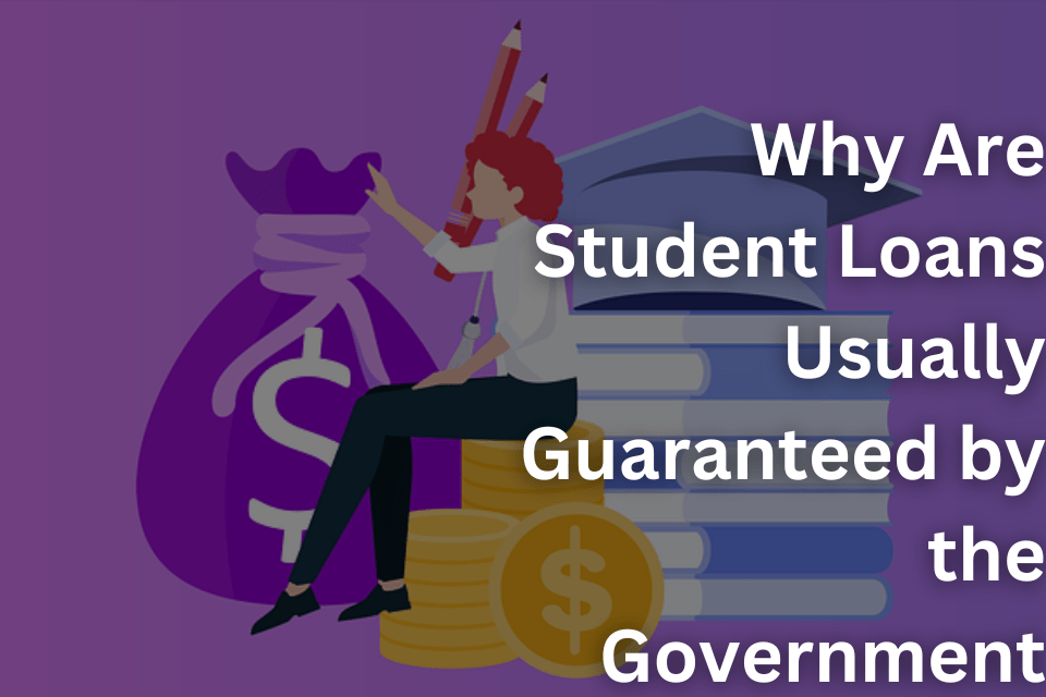 Why Are Student Loans Usually Guaranteed by the Government