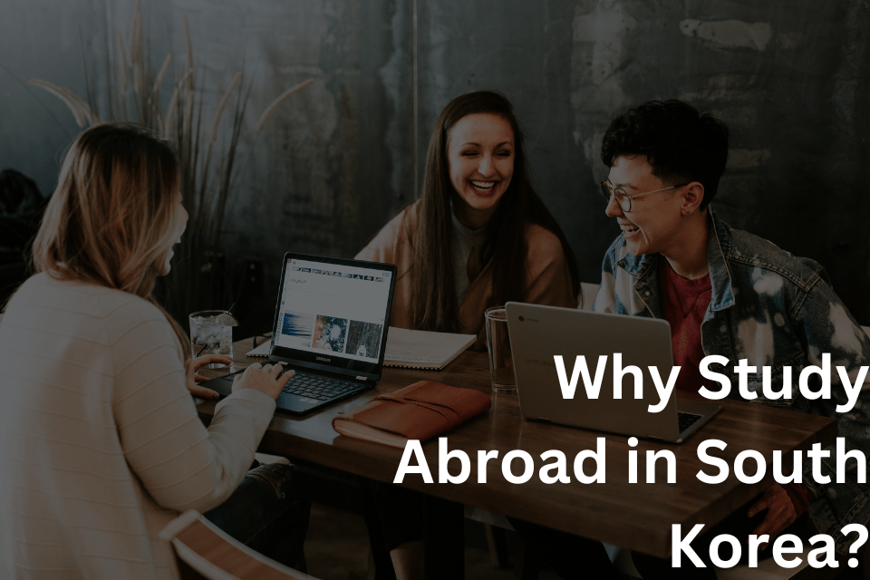 Why Study Abroad in South Korea